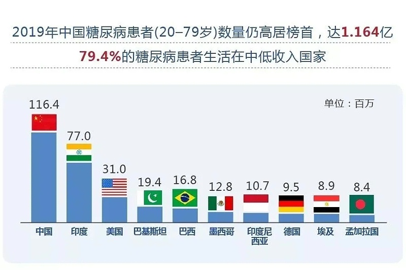 水蛭素、血糖、糖尿病